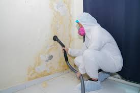 Best Mold Remediation for Rental Properties  in , AR